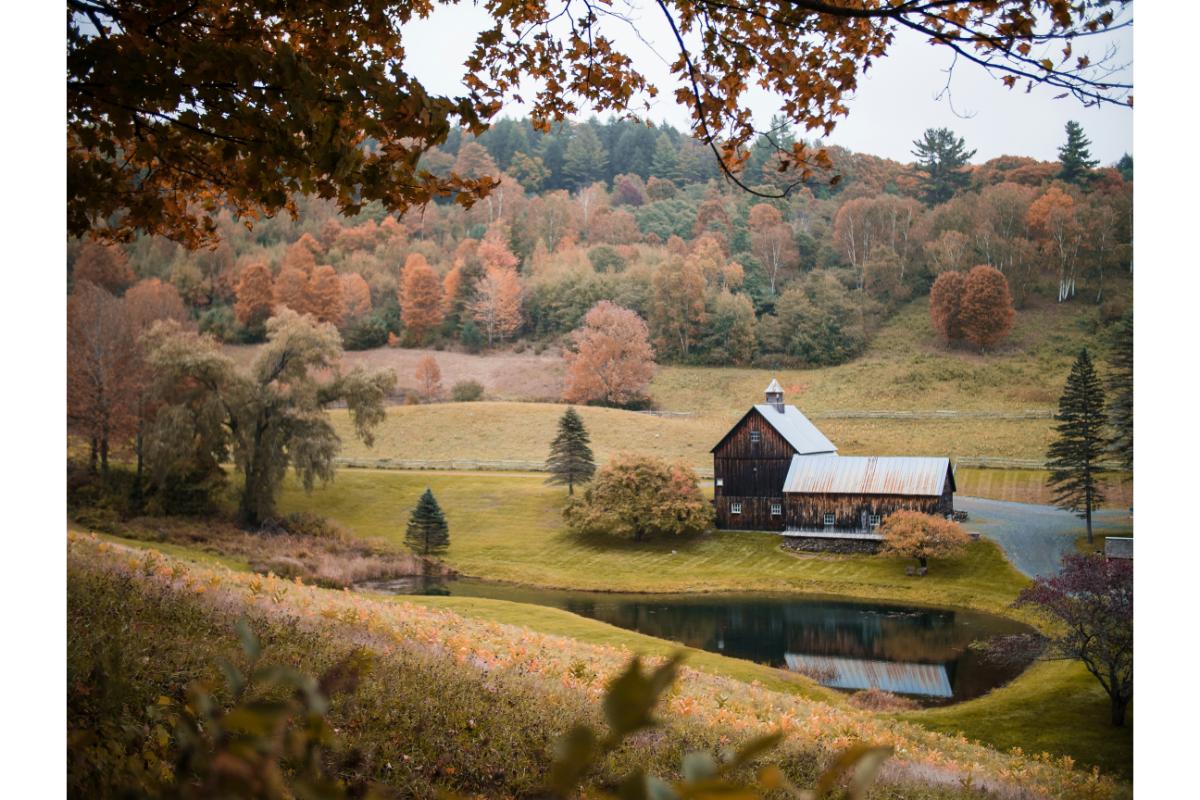 A view of Vermont